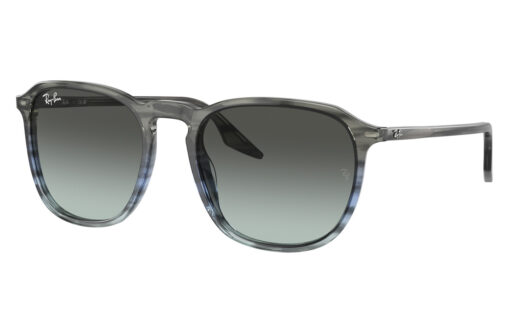 Ray Ban RB 2203 1391GK 55