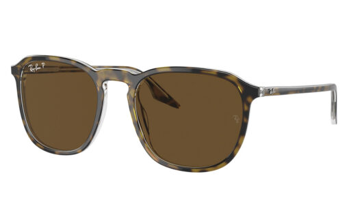 Ray Ban RB 2203 139357 55 polarizadas