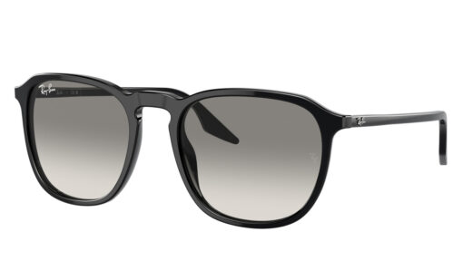 Ray Ban RB 2203 901/32 55