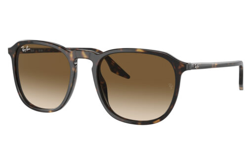 Ray Ban RB 2203 902/51 52