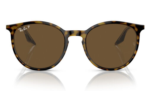 Ray Ban RB 2204 139357 54 polarizadas - Imagen 3