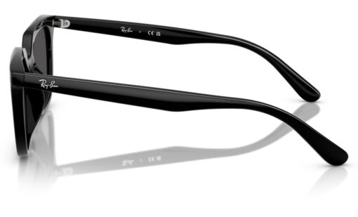 Ray Ban RB 4439D 901/87 54 - Imagen 2