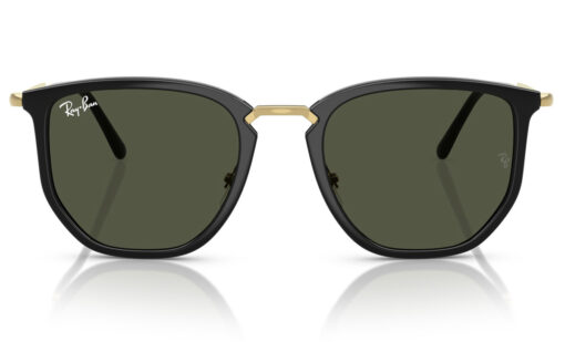 Ray Ban RB 4451 630631 53 - Imagen 3