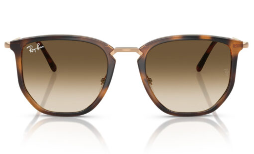 Ray Ban RB 4451 680451 53 - Imagen 3