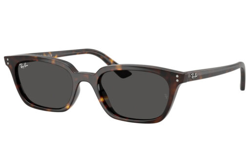 Ray Ban RB 4456 135987 50 Zaya