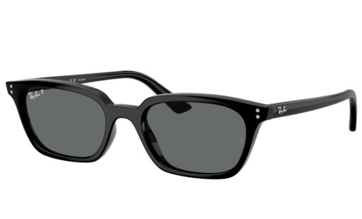 Ray Ban RB 4456 667781 53 Zaya polarizadas