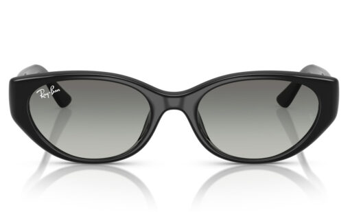 Ray Ban RB 4457D 667711 55 - Imagen 3